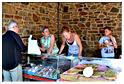 marche_hives_2014 (16)