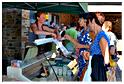 marche_hives_2014 (19)