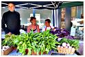 marche_hives_2014 (23)