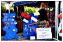 marche_hives_2014 (31)