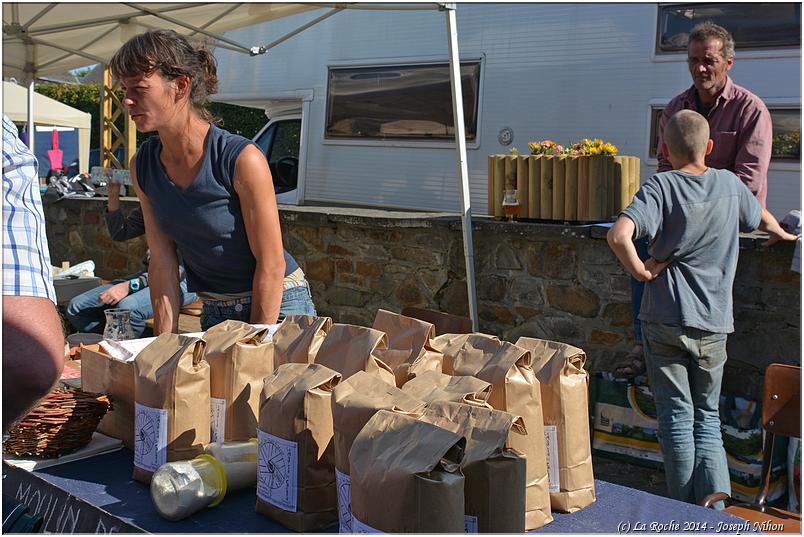 marche_hives_2014 (33)