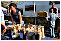 marche_hives_2014 (33)