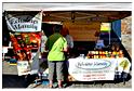 marche_hives_2014 (36)