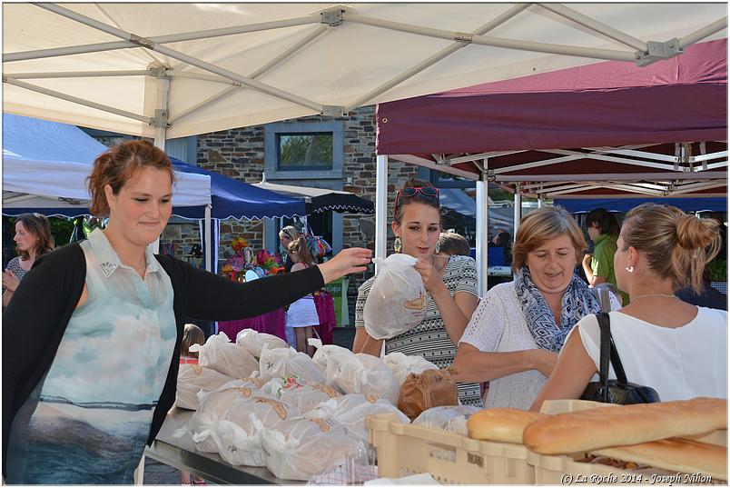 marche_hives_2014 (47)