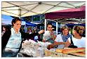 marche_hives_2014 (47)