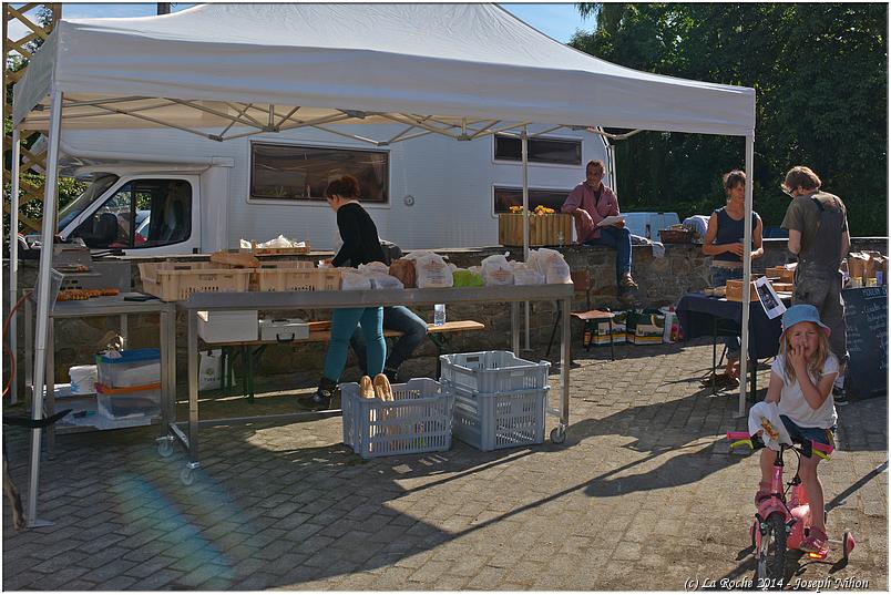 marche_hives_2014 (54)