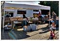 marche_hives_2014 (54)