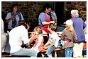 marche_hives_2014 (59)