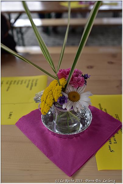 marche_hives_2015 (25)
