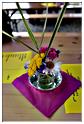 marche_hives_2015 (25)