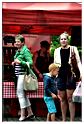 marche_hives_2015 (26)