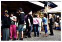 marche_hives_2015 (28)