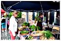 marche_hives_2015 (30)