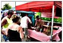 marche_hives_2015 (31)