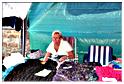 marche_hives_2015 (32)
