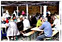 marche_hives_2015 (35)