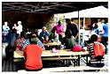 marche_hives_2015 (36)