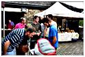 marche_hives_2015 (39)