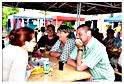 marche_hives_2015 (41)