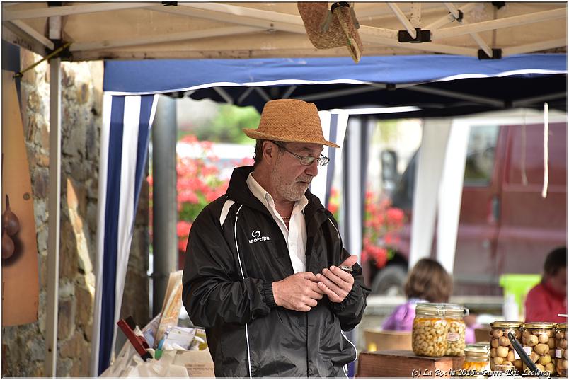 marche_hives_2015 (45)