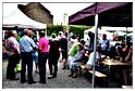 marche_hives_2015 (51)