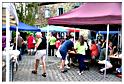 marche_hives_2015 (53)