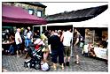 marche_hives_2015 (54)