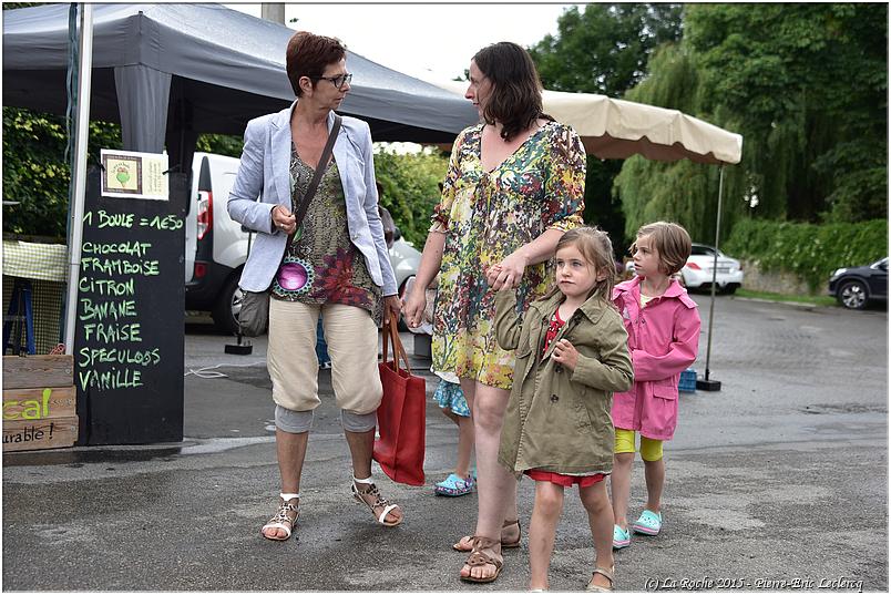 marche_hives_2015 (7)