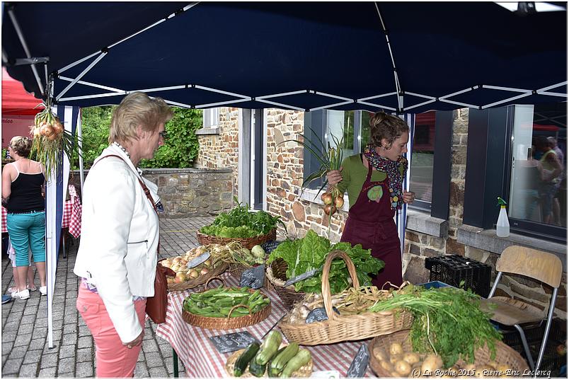 marche_hives_2015 (30)