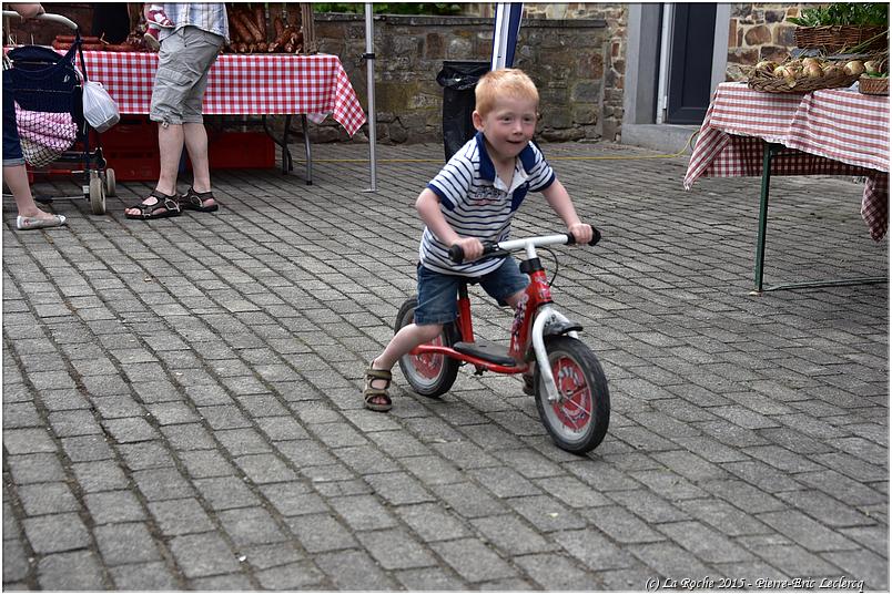 marche_hives_2015 (47)