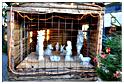 marche_noel_berismenil_2013 (53)