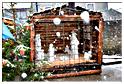 marche_noel_berismenil_2014 (164)