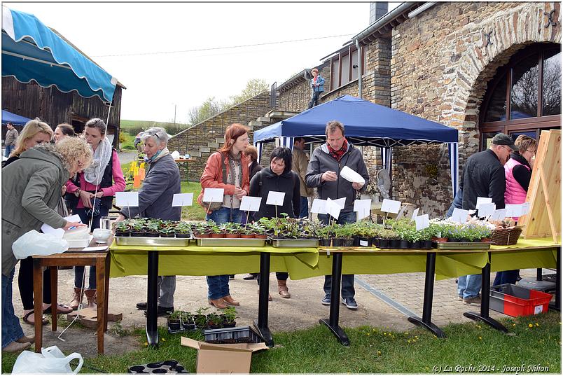 marche_plantes_hubermont (52)