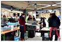 marche_plantes_hubermont (53)