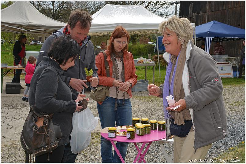 marche_plantes_hubermont (60)