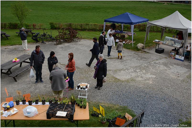 marche_plantes_hubermont (67)