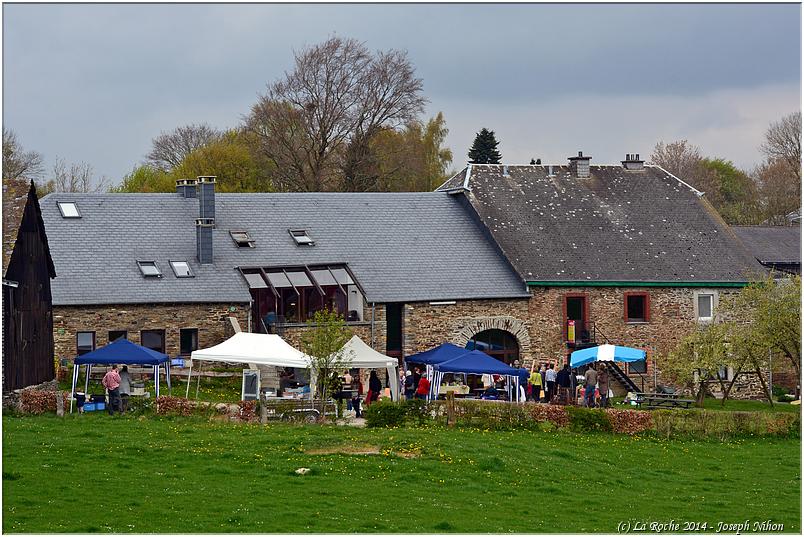 marche_plantes_hubermont (71)