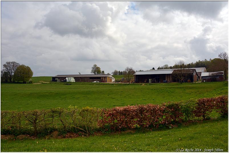 marche_plantes_hubermont (54)