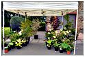 marche_samree_2014 (125)