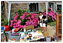 marche_samree_2014 (172)