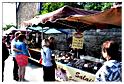 marche_samree_2015 (12)