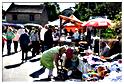 marche_samree_2015 (46)