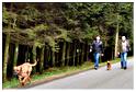 marche_televie_samree_2014 (37)