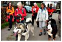 marche_televie_samree_2014 (82)