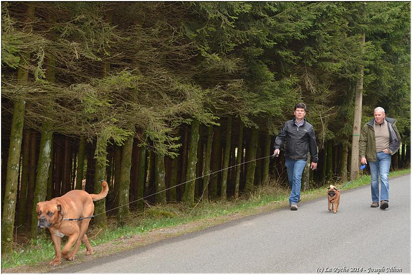 marche_televie_samree_2014 (37)