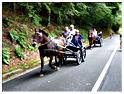 mobilite_2013 (113)