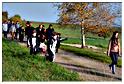 halloween_mousny_2015 (52)