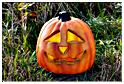 halloween_mousny_2015 (60)