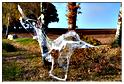 halloween_mousny_2015 (61)