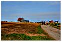 halloween_mousny_2015 (65)